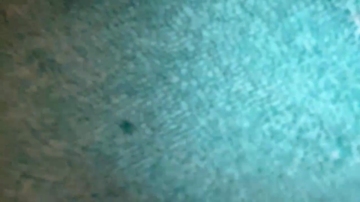 Lonelystonerjosh  17-05-2021